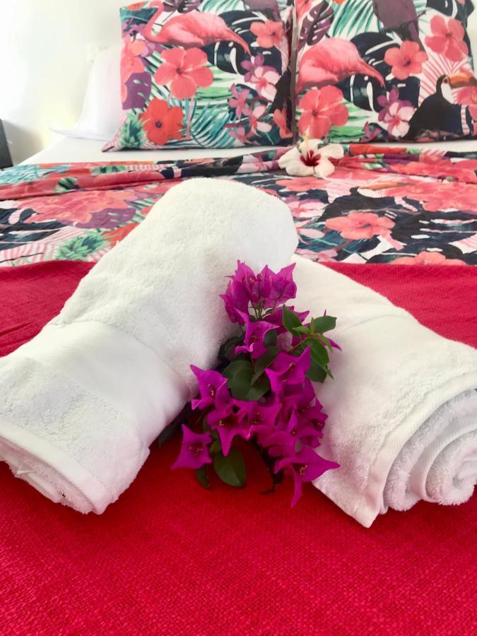 Appartement Prive Eco-Responsable, Vue Sur La Mer Des Caraibes Et Jardin Clos, Wifi, A 2Mn De La Plage Сен-Лу Екстериор снимка