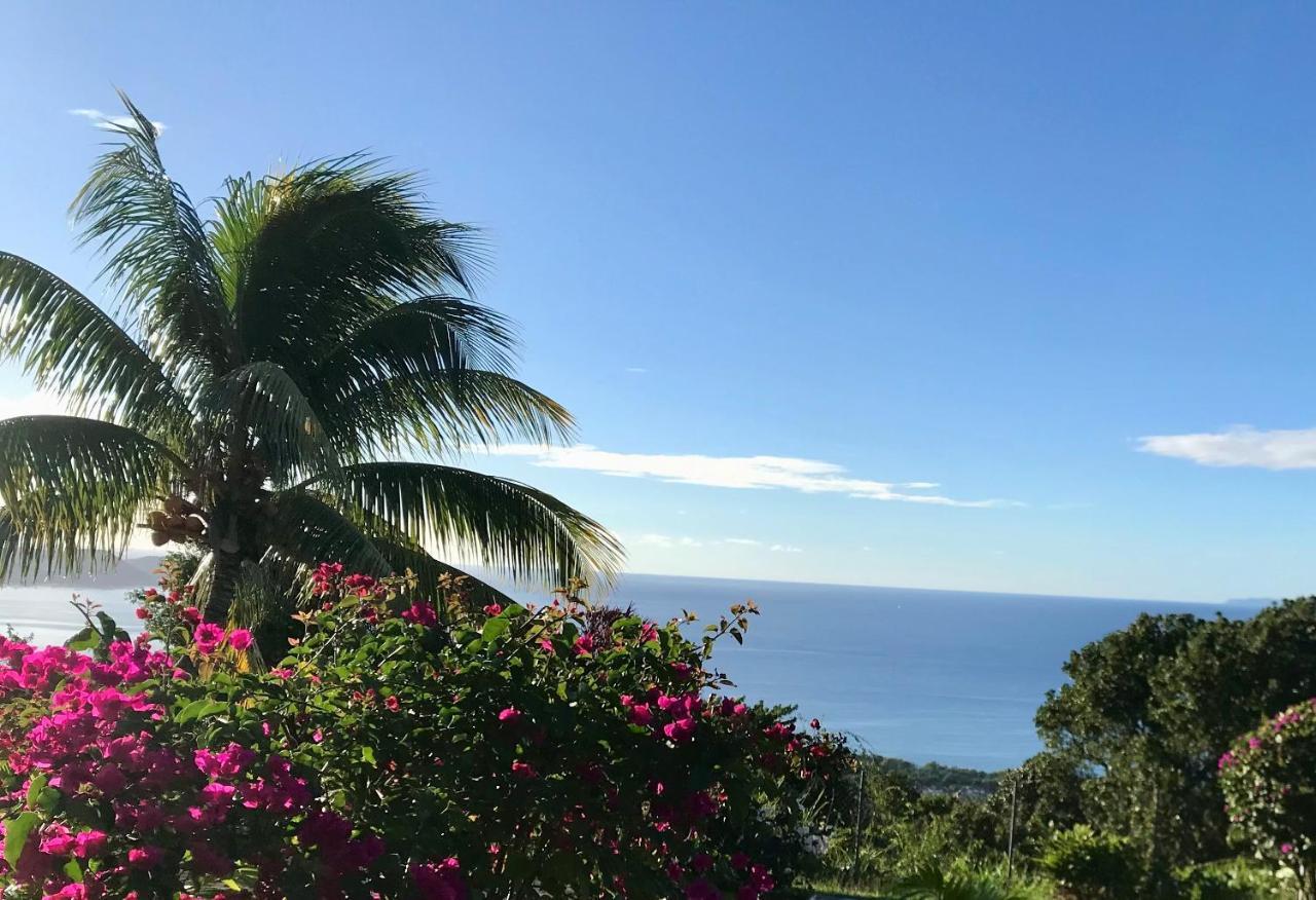 Appartement Prive Eco-Responsable, Vue Sur La Mer Des Caraibes Et Jardin Clos, Wifi, A 2Mn De La Plage Сен-Лу Екстериор снимка